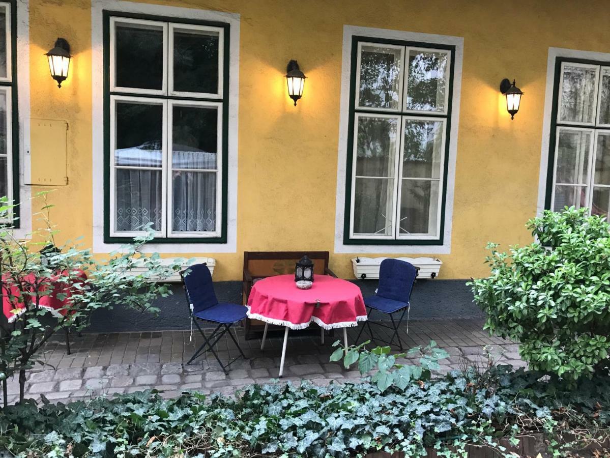 70M² Grosses Apartment Mit Gartenzugang Vienna Esterno foto